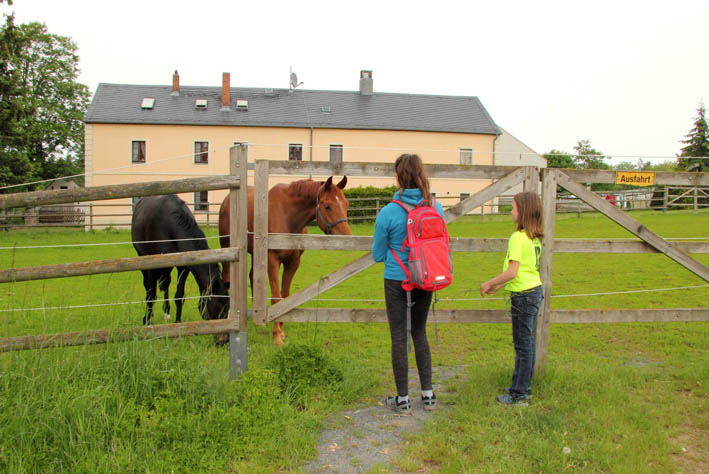 Pferdegestt bei Moritzburg