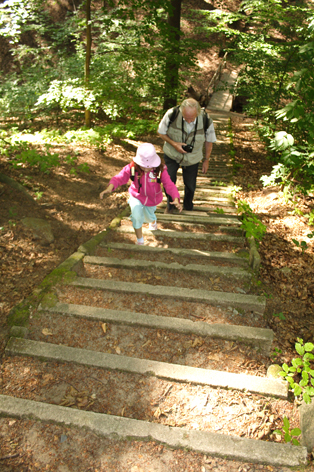 Die Katzentreppe in der Dresdner Heide