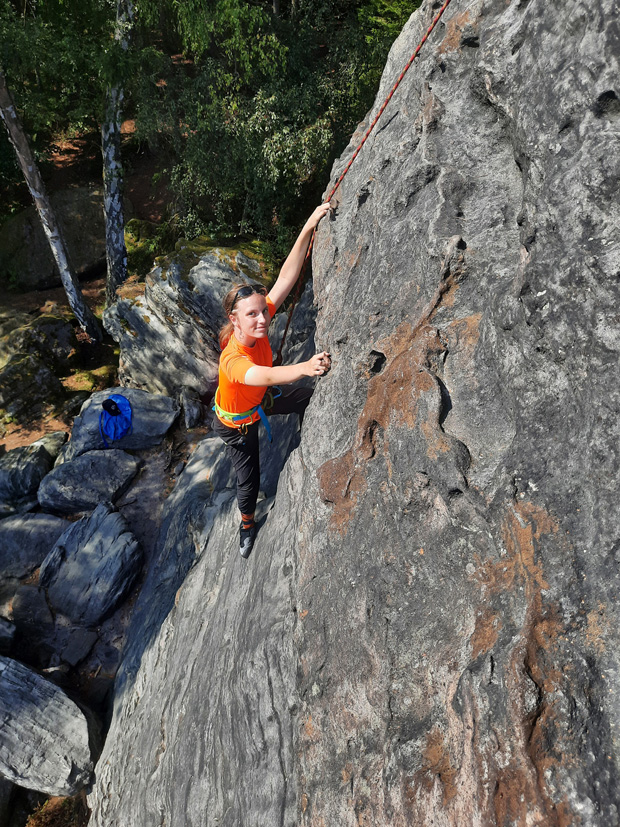 Wiesenkopf - Sdwestwand III