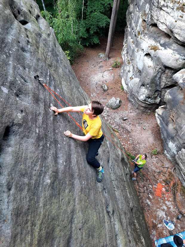 Wiesenkopf - S�dwestwand III