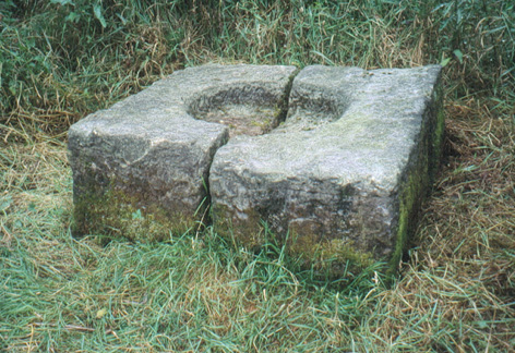 Salzlecke an der Erlswiese