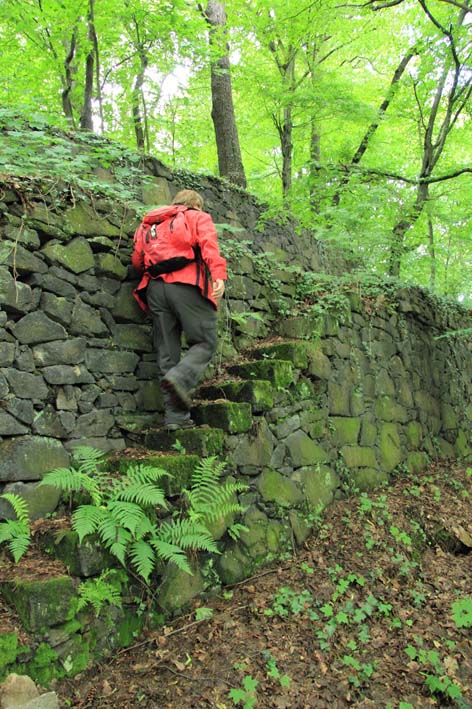 Seitlicher Treppensteig bei Radebeul