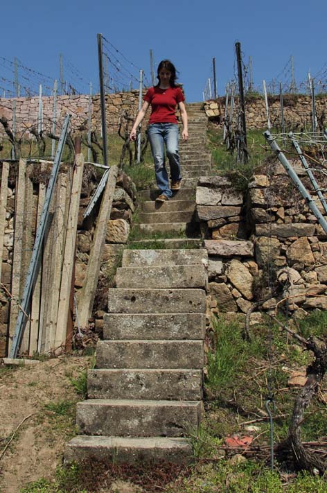 Weinbergtreppe bei Diesbar-Seulitz