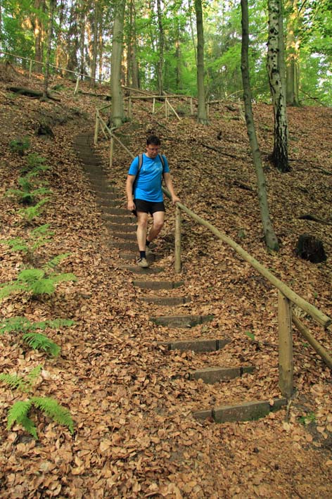 Der Steig zu Ludens Ruh in der Dresdner Heide