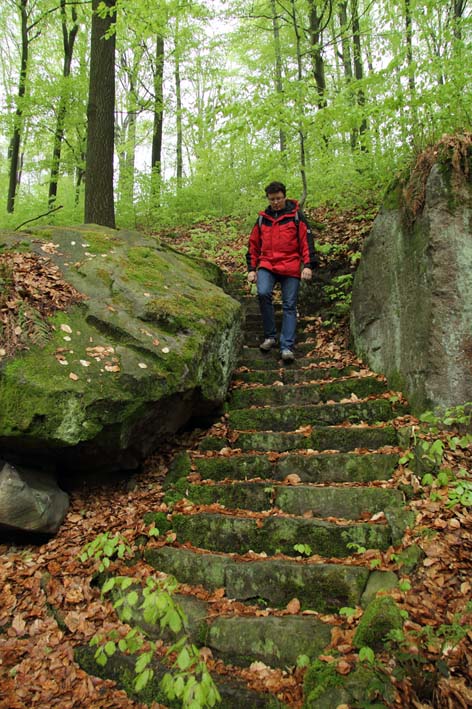 Peschelweg bei Drrrhrsdorf-Dittersbach