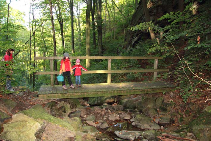 Holzbrcke bei der Stillen Liebe