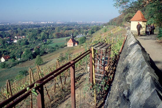 Blick vom Pillnitzer Weinbergweg