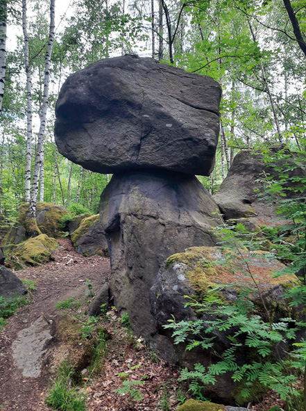 Die Quarkquetsche