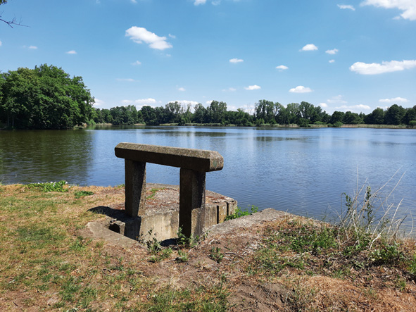 Wiednitzer Teichlandschaft