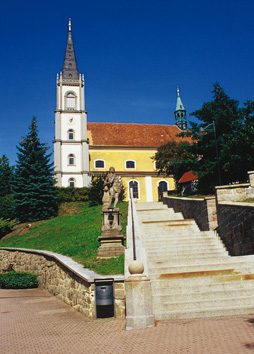 Die Kirche in Schirgiswalde