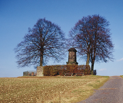 Hohburkersdorfer Rundblick